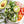 Load image into Gallery viewer, Keto Raw Che*sy Kale Crisps