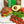 Load image into Gallery viewer, Vegan Keto Bread Rolls