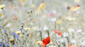 Histamine Intolerance